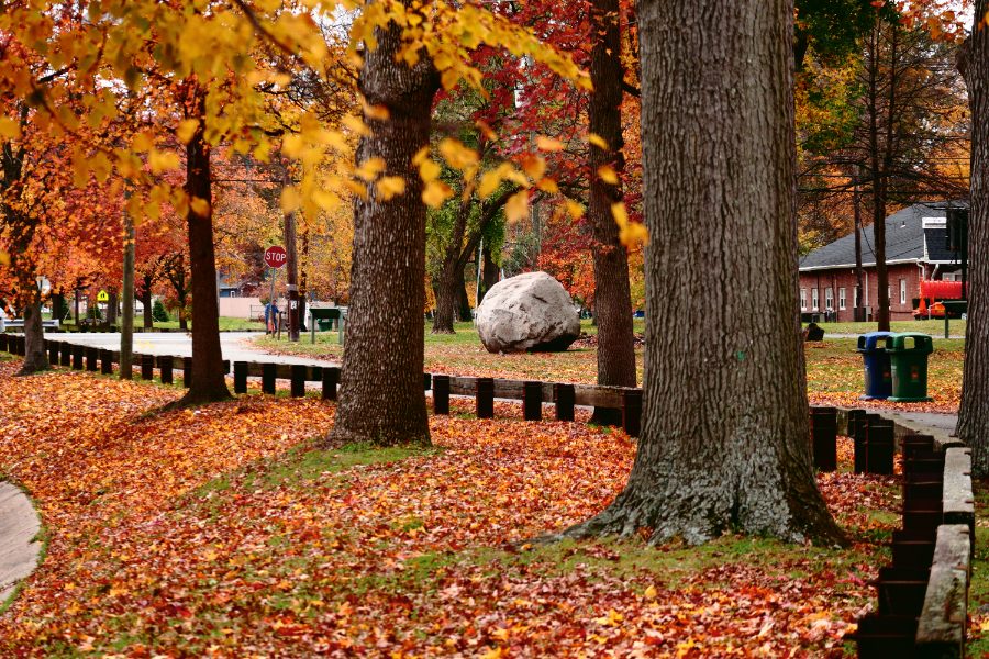 Tree-lined street in a New Jersey town in autumn